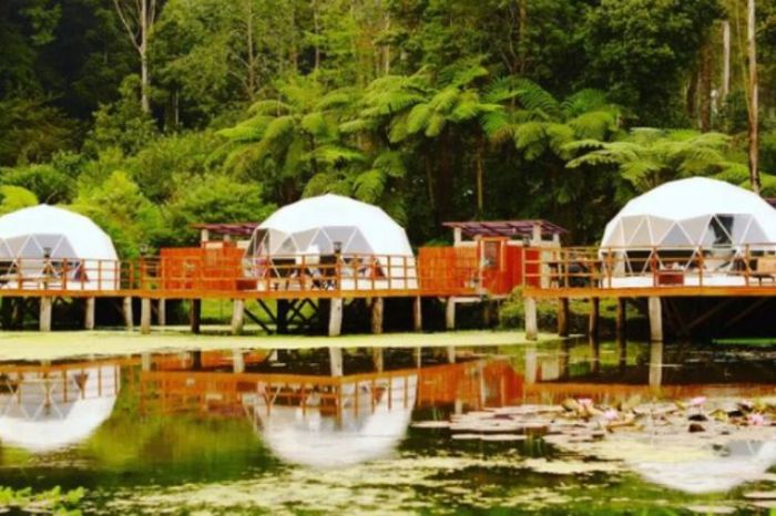 Wisata Glamping Kekinian di Bandung