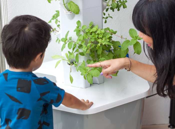 Urban Gardening – een trend met traditie | QUADRO Blog Fenomena Urban Gardening di Kalangan Anak Muda