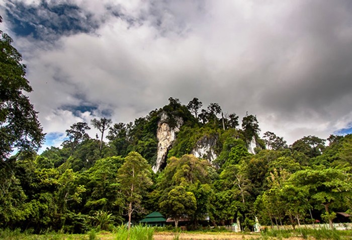 10 Tempat Wisata Di Kalimantan Yang Menarik Dan Sanga - vrogue.co Rekomendasi Wisata Petualangan di Kalimantan