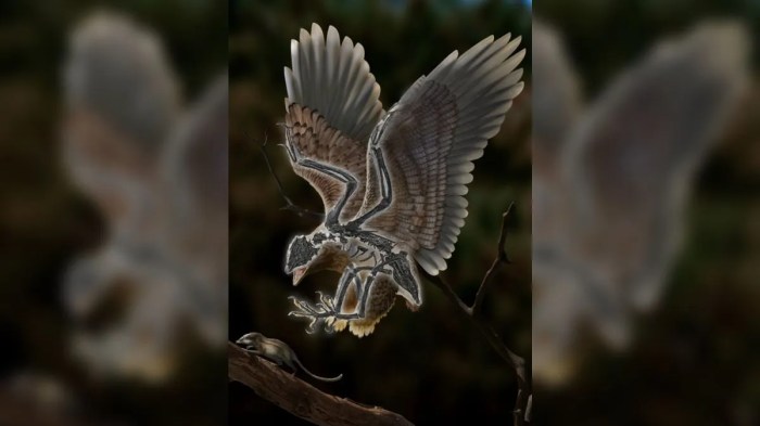 Burung Purba Tertua Ditemukan, Ini Nilai Sejarahnya