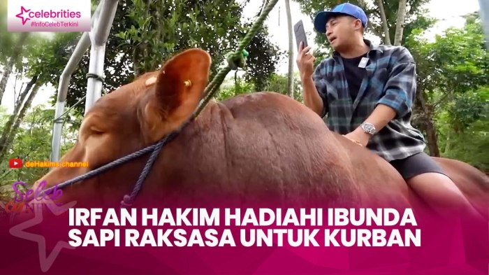 Irfan Hakim Hadiahi Ibunda Sapi Raksasa untuk Kurban - Video Dailymotion Kurban Ala Irfan Hakim, Ajak Bicara Sapi dengan Penuh Cinta