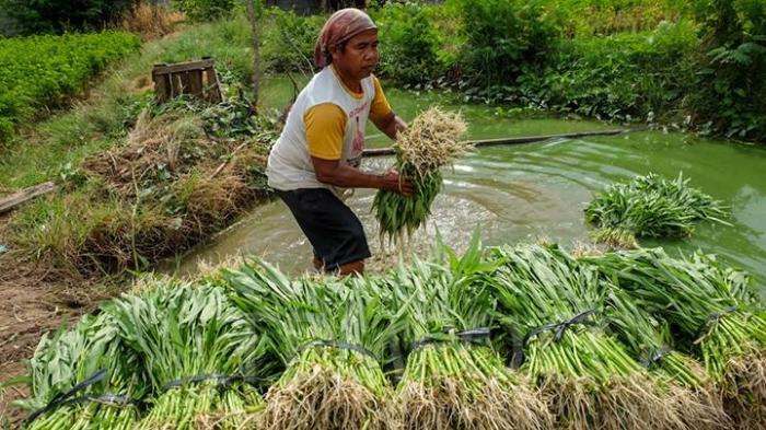 Senjata Baru Terus Diproduksi, Rusia Tak Ragukan Pertemuan NATO Siap ... Langkah Strategis! RI-Rusia Sepakati Inovasi Teknologi Pertanian