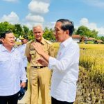 Prabowo Panen Jagung di Tengah Sawah, Gunakan Alat Canggih