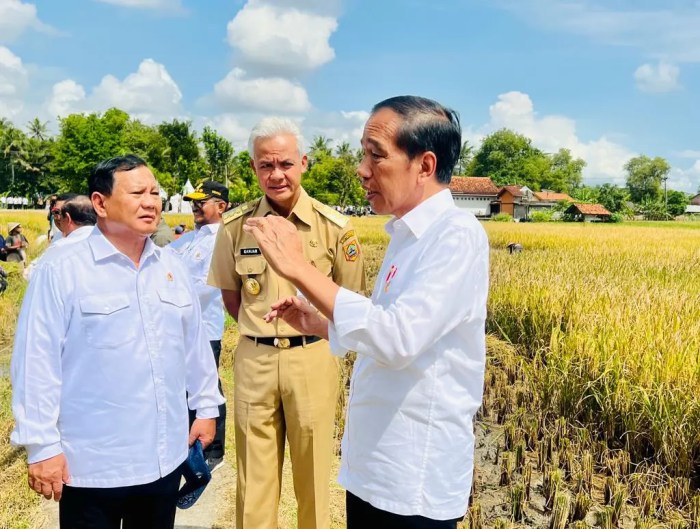 Combine Jagung||Alat Pertanian Modern. - YouTube Prabowo Panen Jagung di Tengah Sawah, Gunakan Alat Canggih