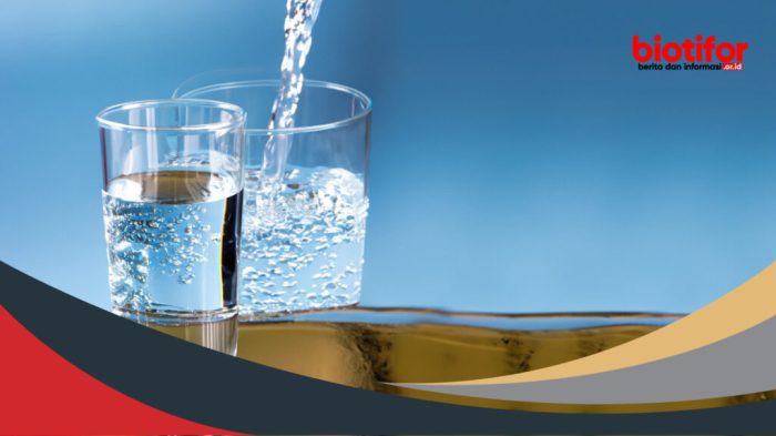 Pentingnya Minum Air Putih Cukup Setiap Hari