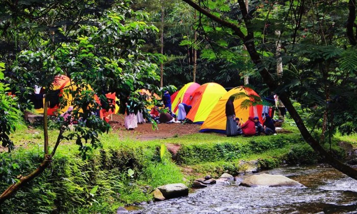 Tempat Camping Populer di Dekat Kota Besar