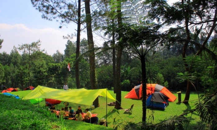 Tempat Camping Populer di Dekat Kota Besar