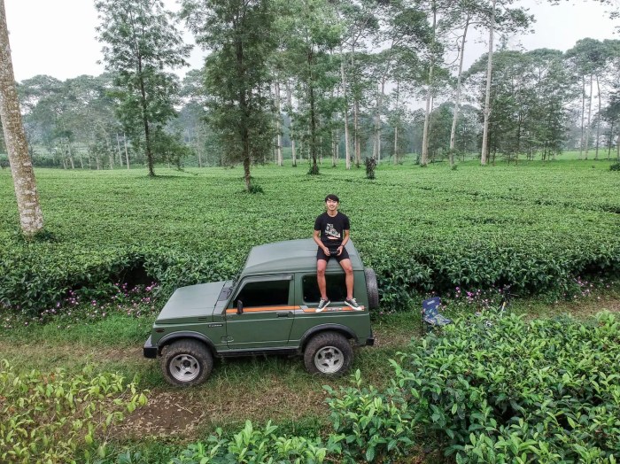 7 Cara Memulai Bisnis Travel Agent Dengan Mudah Tips Memilih Travel Agent yang Terpercaya