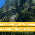 Tren Wisata Healing ke Alam Terbuka
