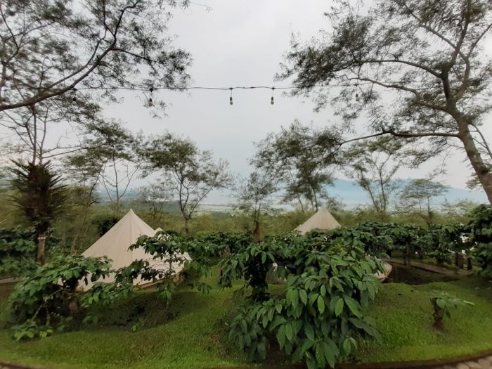 Tren wisata normal baru, destinasi dekat rumah semakin dilirik - ANTARA ... Tren Wisata Healing ke Alam Terbuka