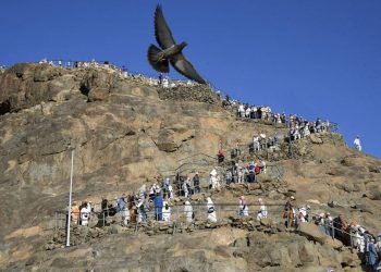 DPR Minta Tindakan Hukum untuk 3 WNI Terlibat Haji Ilegal di Makkah