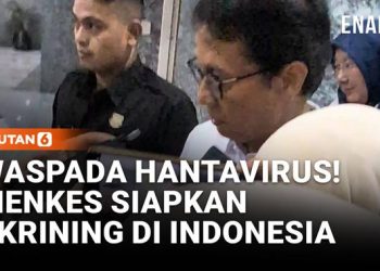 Waspada Hantavirus, Kemenkes Siapkan Uji Cepat dan Tes PCR