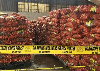 Penyelundupan Bawang Ilegal Asal Malaysia Terungkap oleh Bareskrim Polri