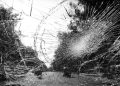 Mobil Patroli Kapolsek Tabrak Warga di Sumba Timur