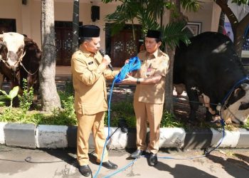 Serah Terima 360 Hewan Kurban oleh Mendagri dan BNPP