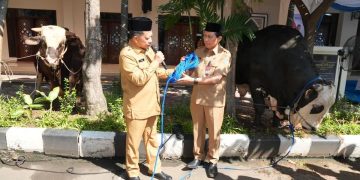 Serah Terima 360 Hewan Kurban oleh Mendagri dan BNPP