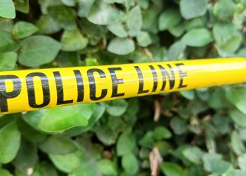 Pria Misterius Pura-pura Kasih Kerja Bikin IRT Pingsan di Bogor