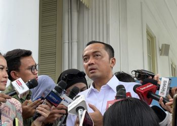 Kata Istana tentang Pengganti Wamen Imipas Silmy Karim