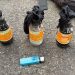Pembawa Bom Molotov di Demonstrasi Mahasiswa Menjadi Tersangka