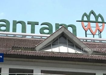Pihak Siap Terlibat dalam Proyek Hilirisasi Nikel dan Mobil Listrik