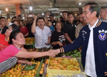 Jokowi Kunjungi Lampung Selama 3 Hari, Berikut Jadwal dan Lokasinya