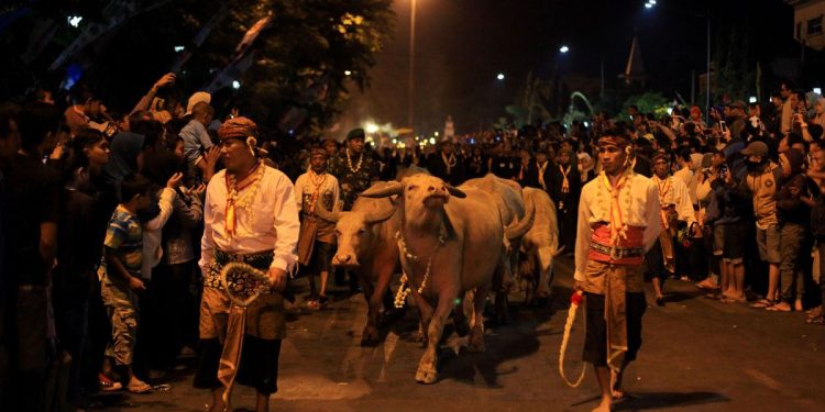 Dua Raja Klaim Gelar dalam Kirab 1 Suro, Walikota Solo Diminta Ambil Tindakan