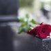 Kepala Bakom M Qodari Meninggal Dunia