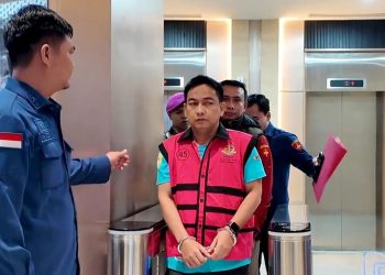 Ketua Ombudsman Hery Susanto Dipecat Tidak Hormat Menurut Kata Istana