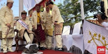 Ritual Tanah Gajah Lampung, Jokowi Langkahi Kepala Kerbau di Karpet Merah