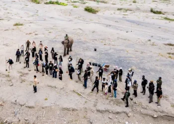 Relawan Tanam Pohon di Daerah Aliran Sungai Peusangan Aceh