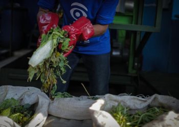 Lahan di Legok Banten Siap untuk Pengolahan Sampah Organik oleh Pemprov DKI