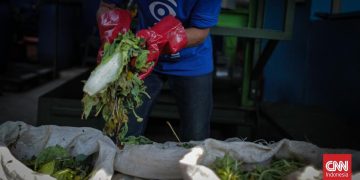 Lahan di Legok Banten Siap untuk Pengolahan Sampah Organik oleh Pemprov DKI