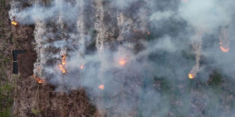 Catatan 306 Karhutla di Sumsel hingga Juli 2026 oleh BPBD