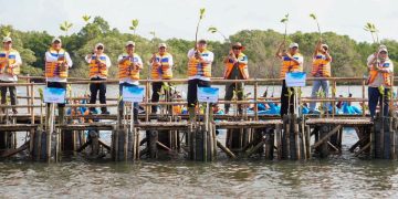 Hari Mangrove Sedunia 2026, Ajak Masyarakat Tanam 1 Juta Mangrove