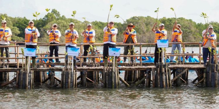 Hari Mangrove Sedunia 2026, Ajak Masyarakat Tanam 1 Juta Mangrove
