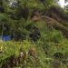 Penutupan Tambang Emas Ilegal di Hutan Produksi Terbatas Sulut, 2 Tersangka Dikenakan Polisi