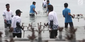 Pemulihan Ekosistem Laut untuk Memperkuat Ekonomi Masyarakat Pesisir
