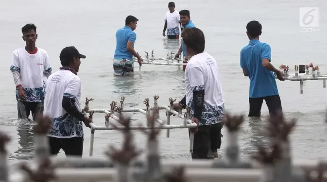 Pemulihan Ekosistem Laut untuk Memperkuat Ekonomi Masyarakat Pesisir