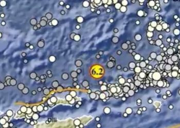 Gempa Magnitudo 6,2 Guncang Maluku Barat Daya Tanpa Potensi Tsunami