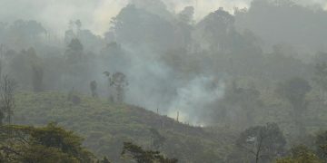 Polisi Tangkap Pria di Berau Kaltim Karena Bakar Lahan untuk Kebun Sawit