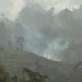 Polisi Tangkap Pria di Berau Kaltim Karena Bakar Lahan untuk Kebun Sawit