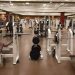 Pengusiran WNA Diduga Tentara IDF Israel dari Gym di Bali dan Fakta-faktanya