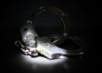Guru Asal India Jadi Kurir Ganja Thailand Ditangkap di Bali dengan Barang Rp1,5 M