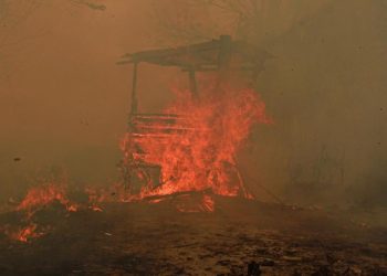 Catatan 936 Hektare Hutan dan Lahan Terbakar di Kalimantan Timur