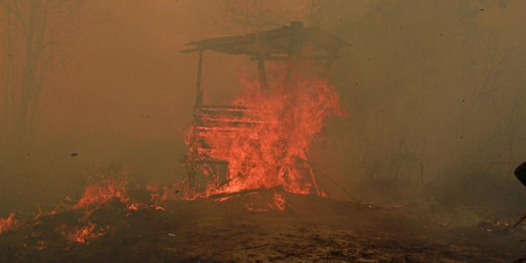 Catatan 936 Hektare Hutan dan Lahan Terbakar di Kalimantan Timur