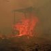 Catatan 936 Hektare Hutan dan Lahan Terbakar di Kalimantan Timur