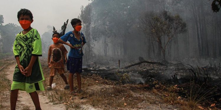 298 Kasus di Palangka Raya Mengakibatkan Pembatalan Penerbangan