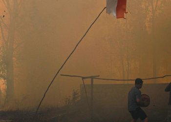 Desakan Komisi IV untuk Penanganan Karhutla Kalimantan Sebagai Prioritas Nasional