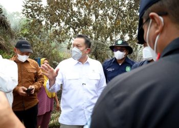 Wamen LH Anjurkan Swasta Ciptakan Sekat Kanal Mengatasi Karhutla di Kalbar