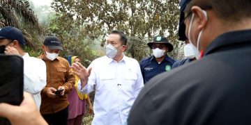 Wamen LH Anjurkan Swasta Ciptakan Sekat Kanal Mengatasi Karhutla di Kalbar
